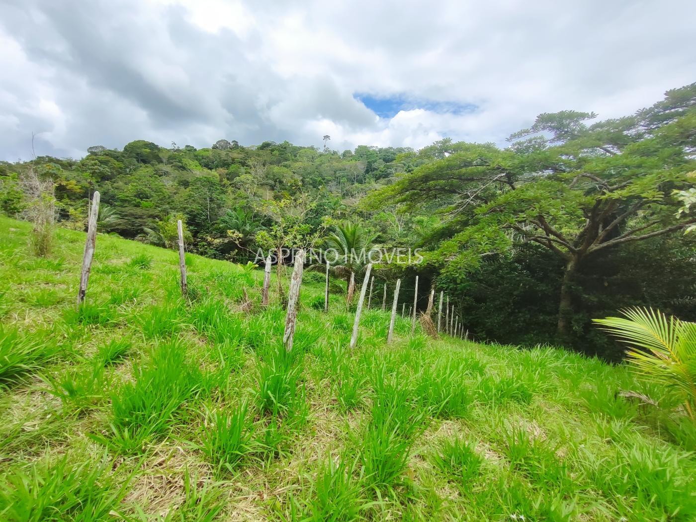 Chácara, 5 quartos, 18 hectares - Foto 35