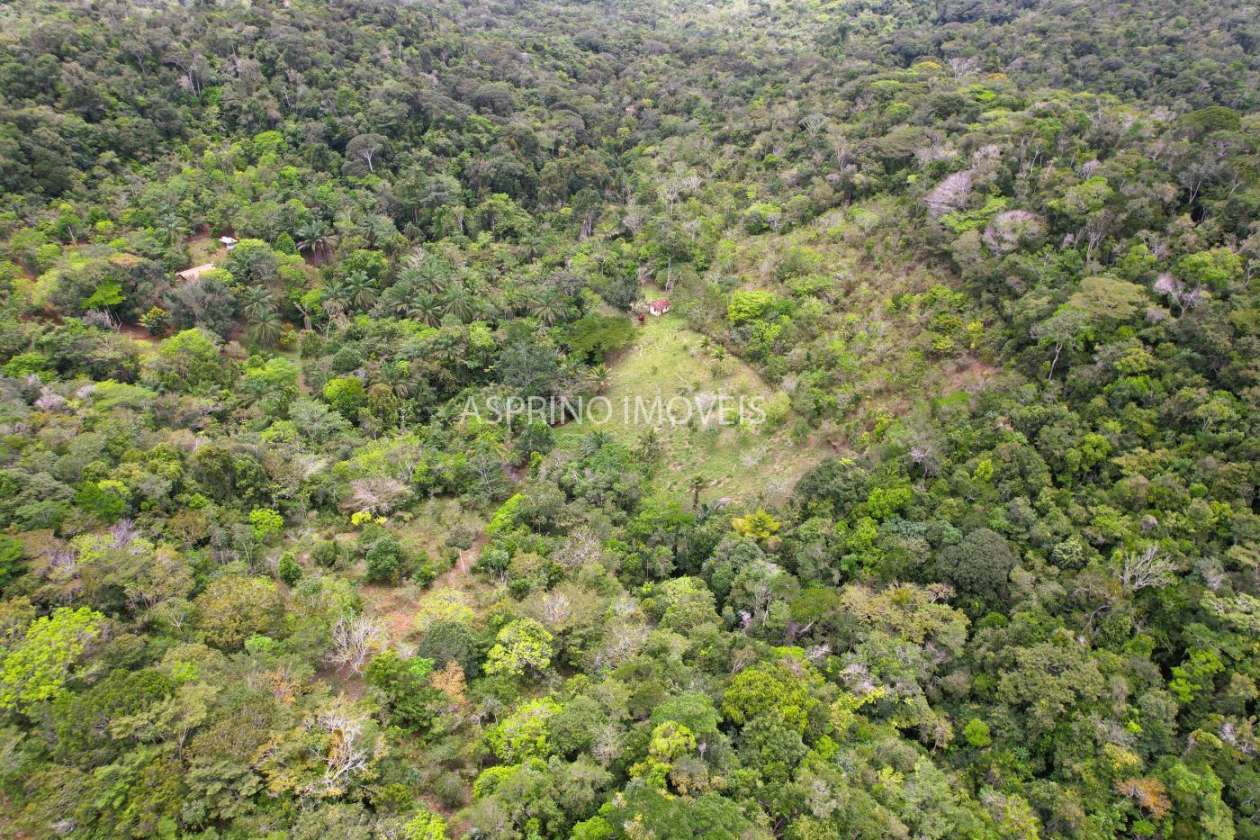 Chácara, 5 quartos, 18 hectares - Foto 42