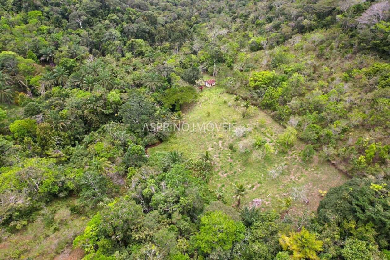 Chácara, 5 quartos, 18 hectares - Foto 43