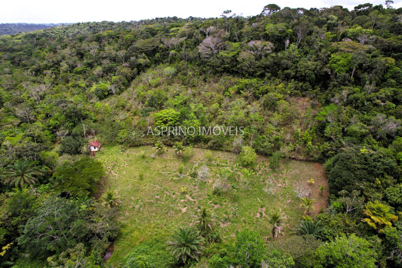 Chácara, 5 quartos, 18 hectares - Foto 44
