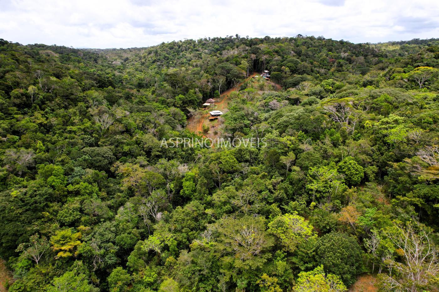 Chácara, 5 quartos, 18 hectares - Foto 41