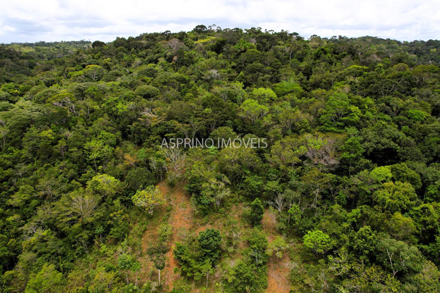 Chácara, 5 quartos, 18 hectares - Foto 45