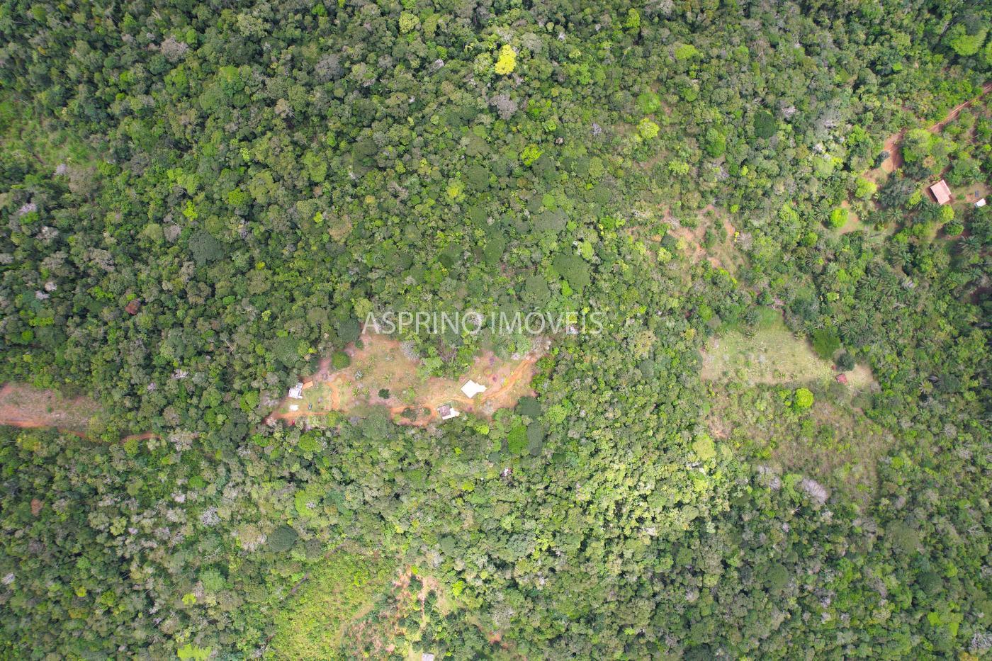 Chácara, 5 quartos, 18 hectares - Foto 46