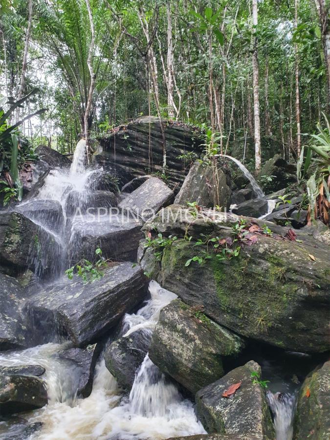 Chácara, 5 quartos, 18 hectares - Foto 16