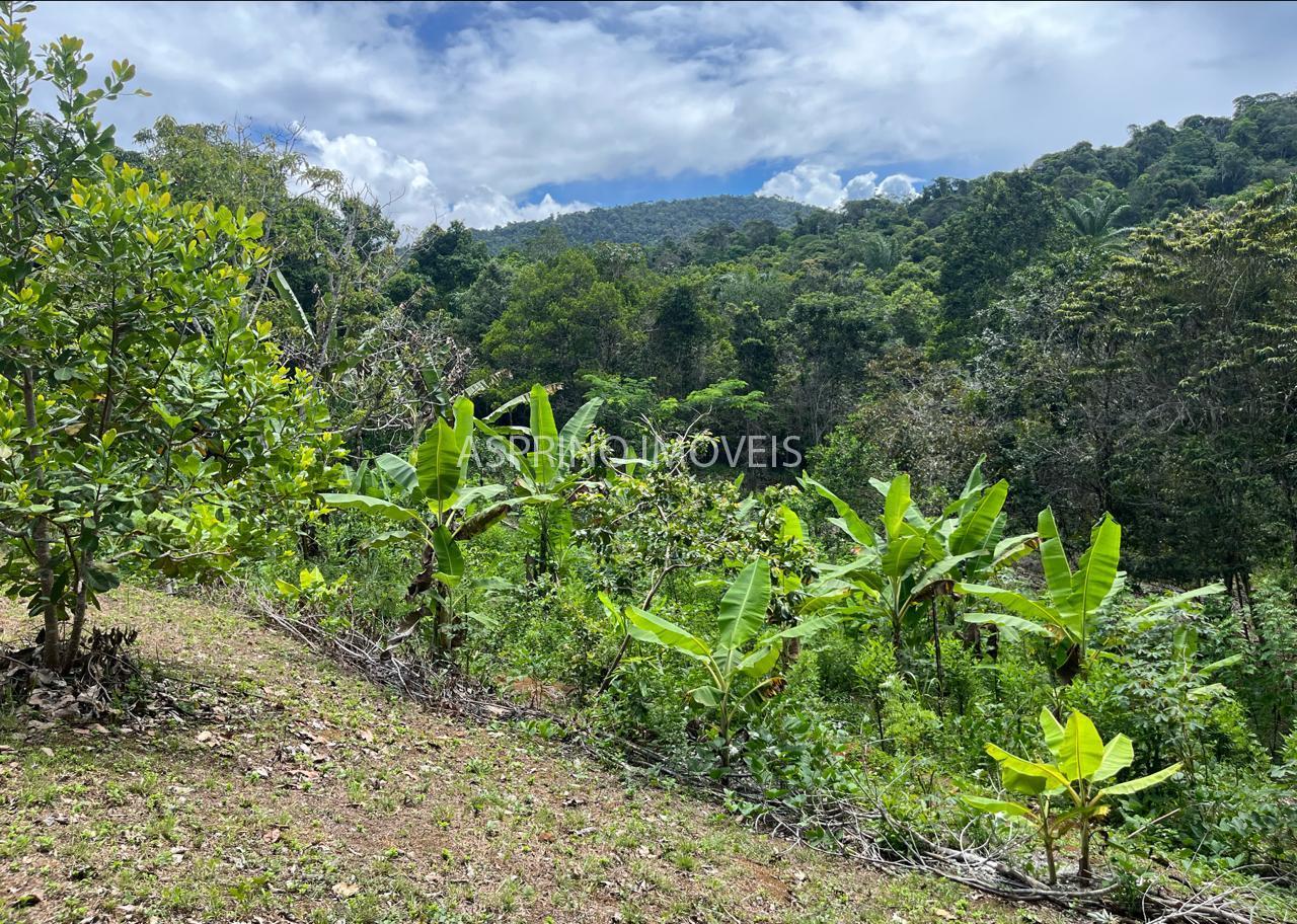 Sítio à venda, 25000m² - Foto 17