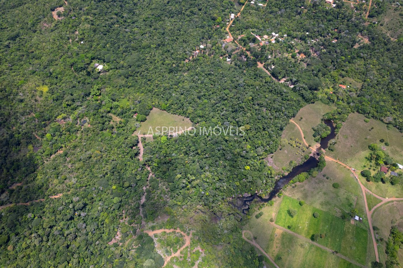 Sítio, 2 hectares - Foto 4