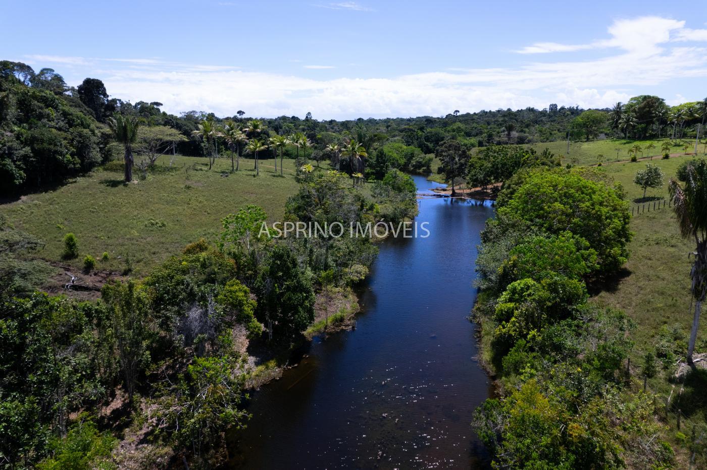 Sítio, 2 hectares - Foto 9