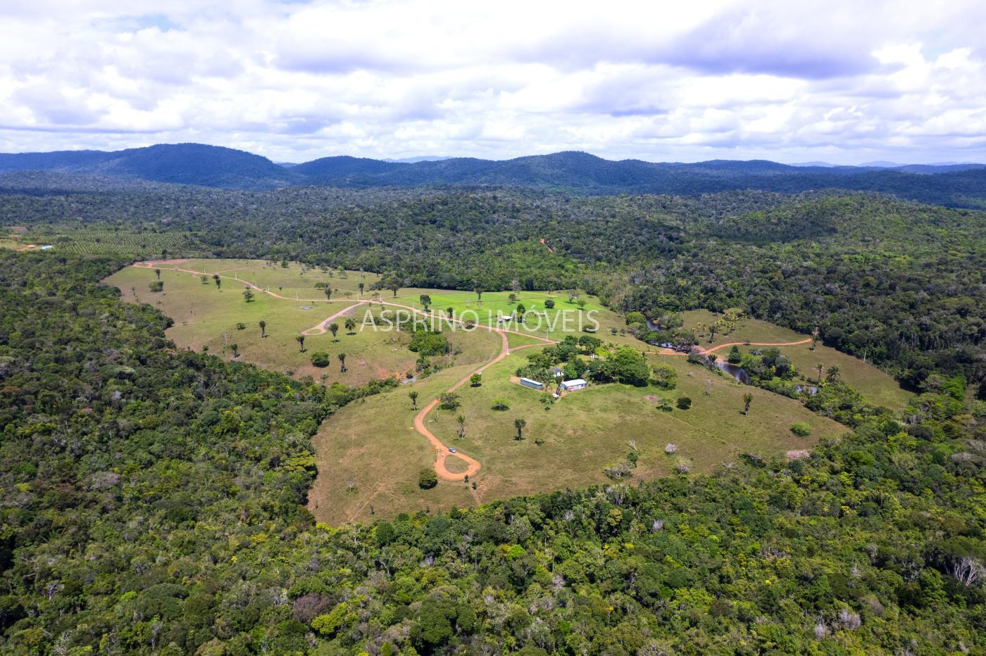 Sítio, 2 hectares - Foto 3