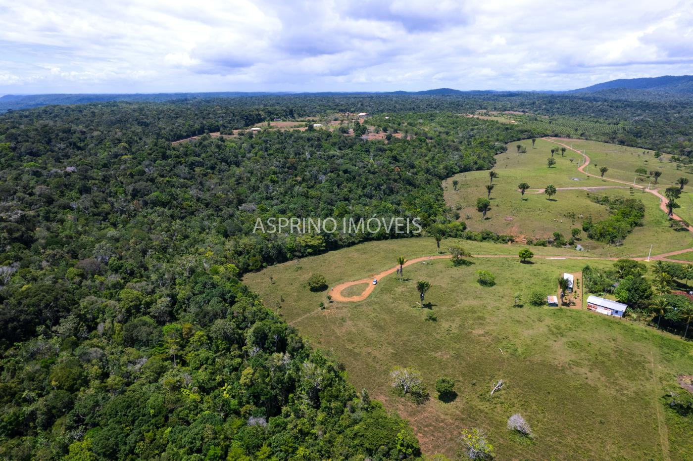 Sítio, 2 hectares - Foto 6