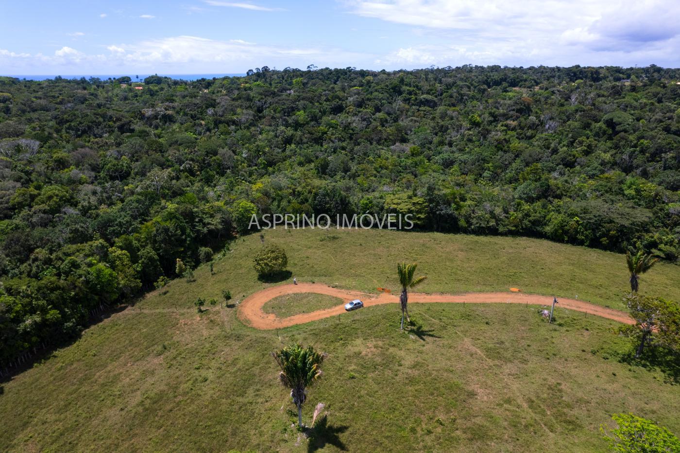 Sítio, 2 hectares - Foto 11