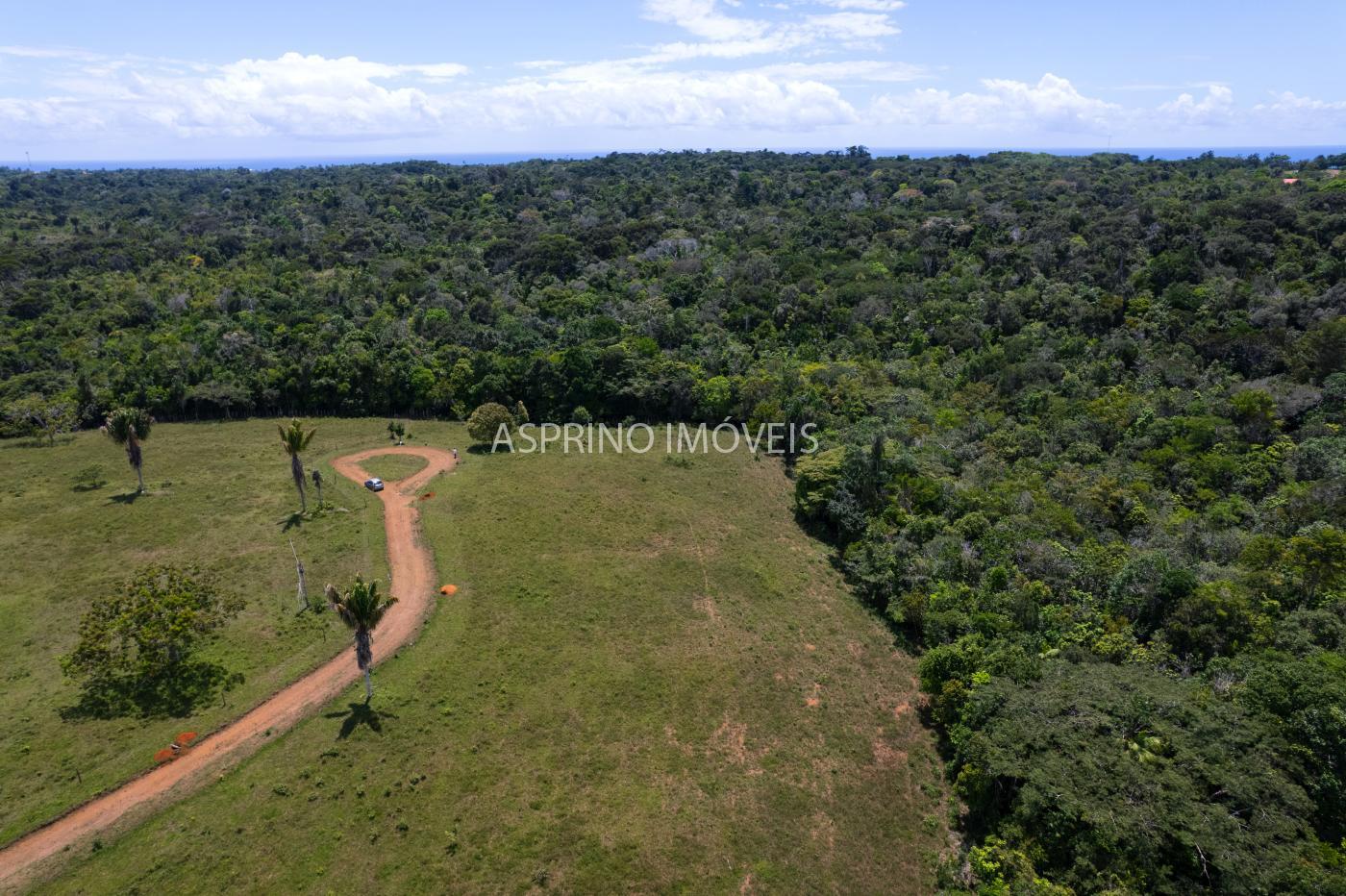 Sítio, 2 hectares - Foto 12