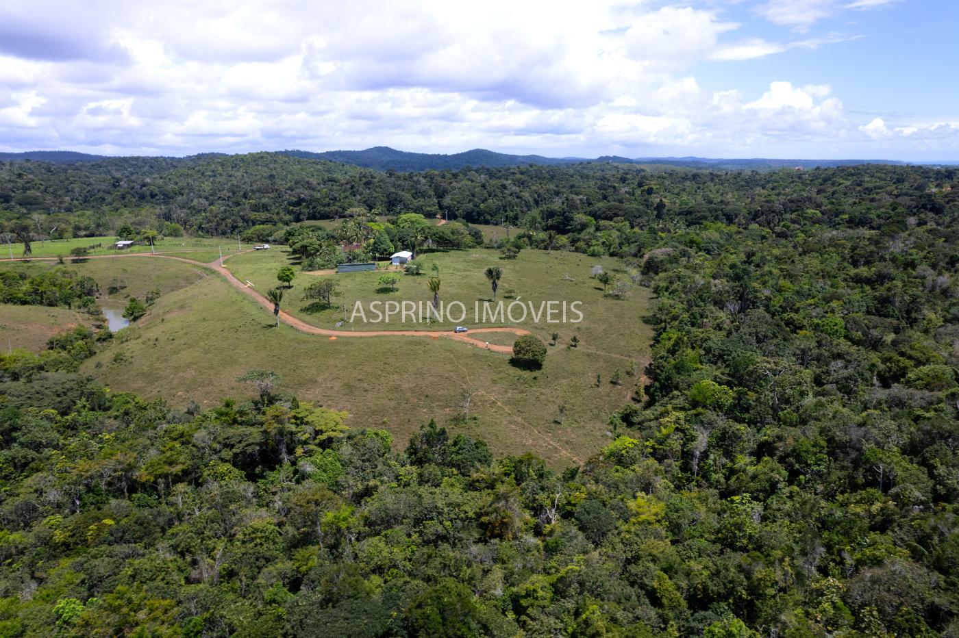 Sítio, 2 hectares - Foto 10