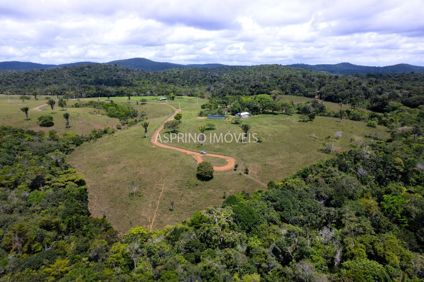 Sítio, 2 hectares - Foto 7