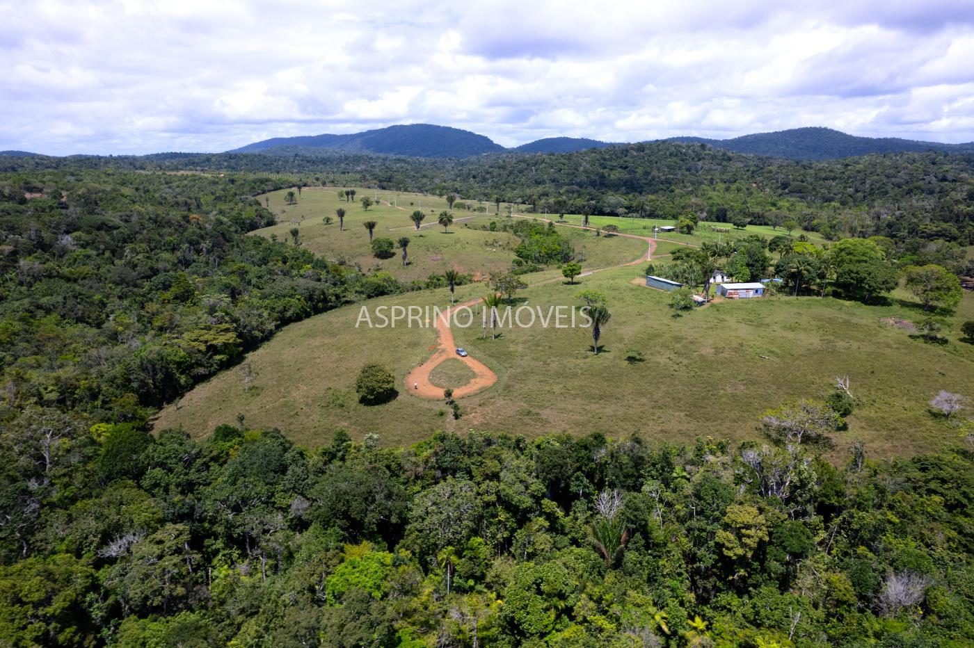 Sítio, 2 hectares - Foto 8