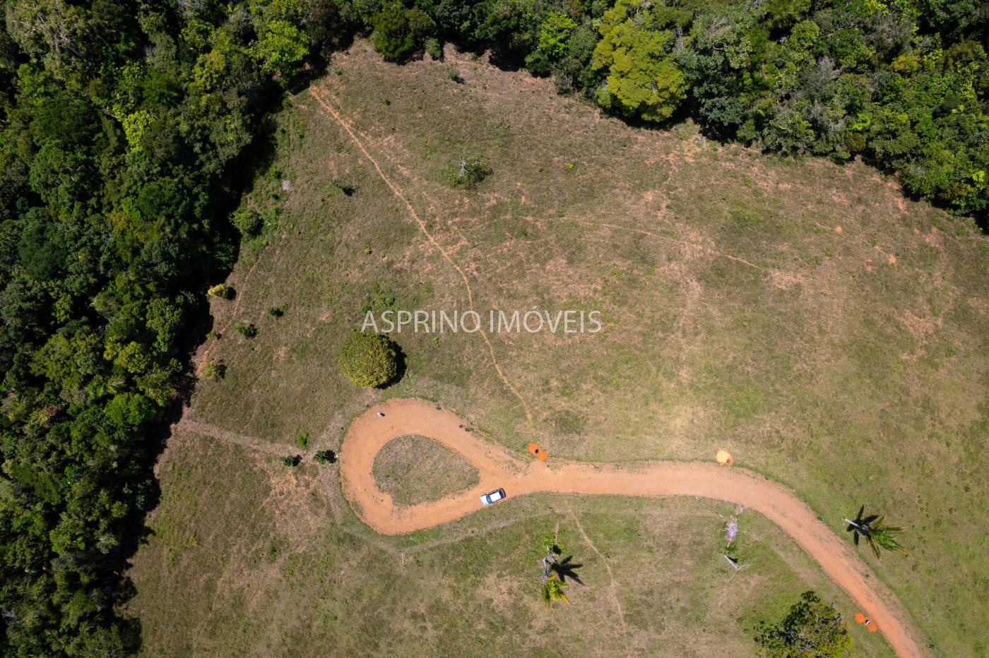 Sítio, 2 hectares - Foto 13