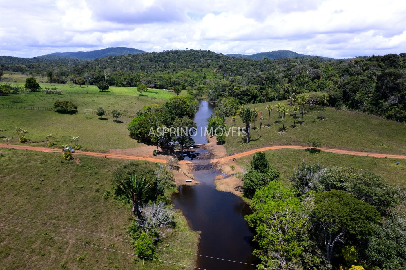 Sítio, 2 hectares - Foto 5