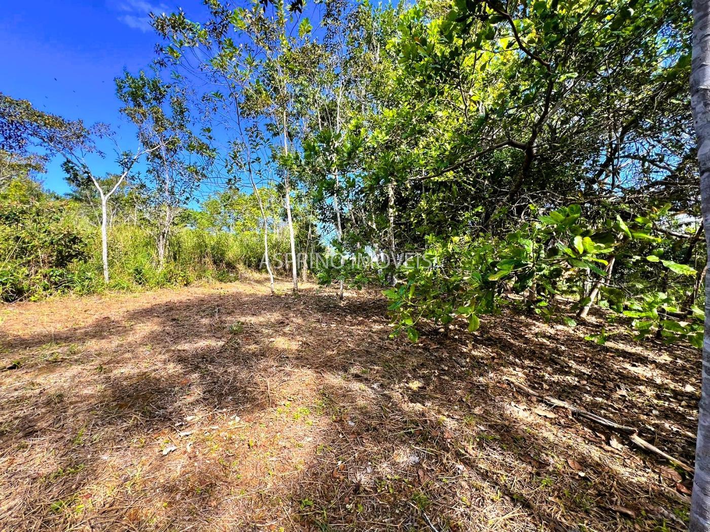 Terreno à venda, 1005m² - Foto 8