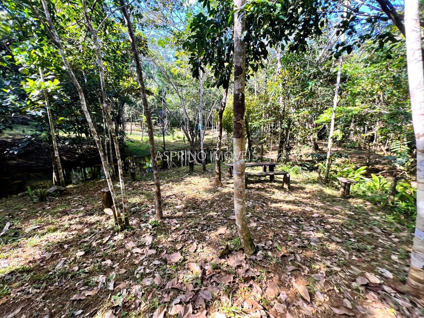 Terreno à venda, 1005m² - Foto 6