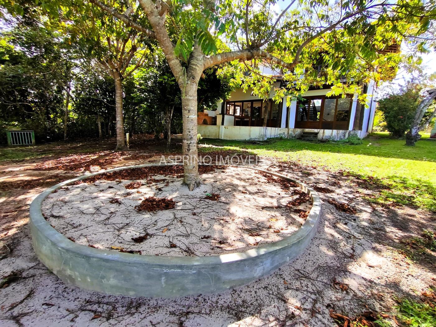 Sítio à venda com 4 quartos, 6203m² - Foto 7