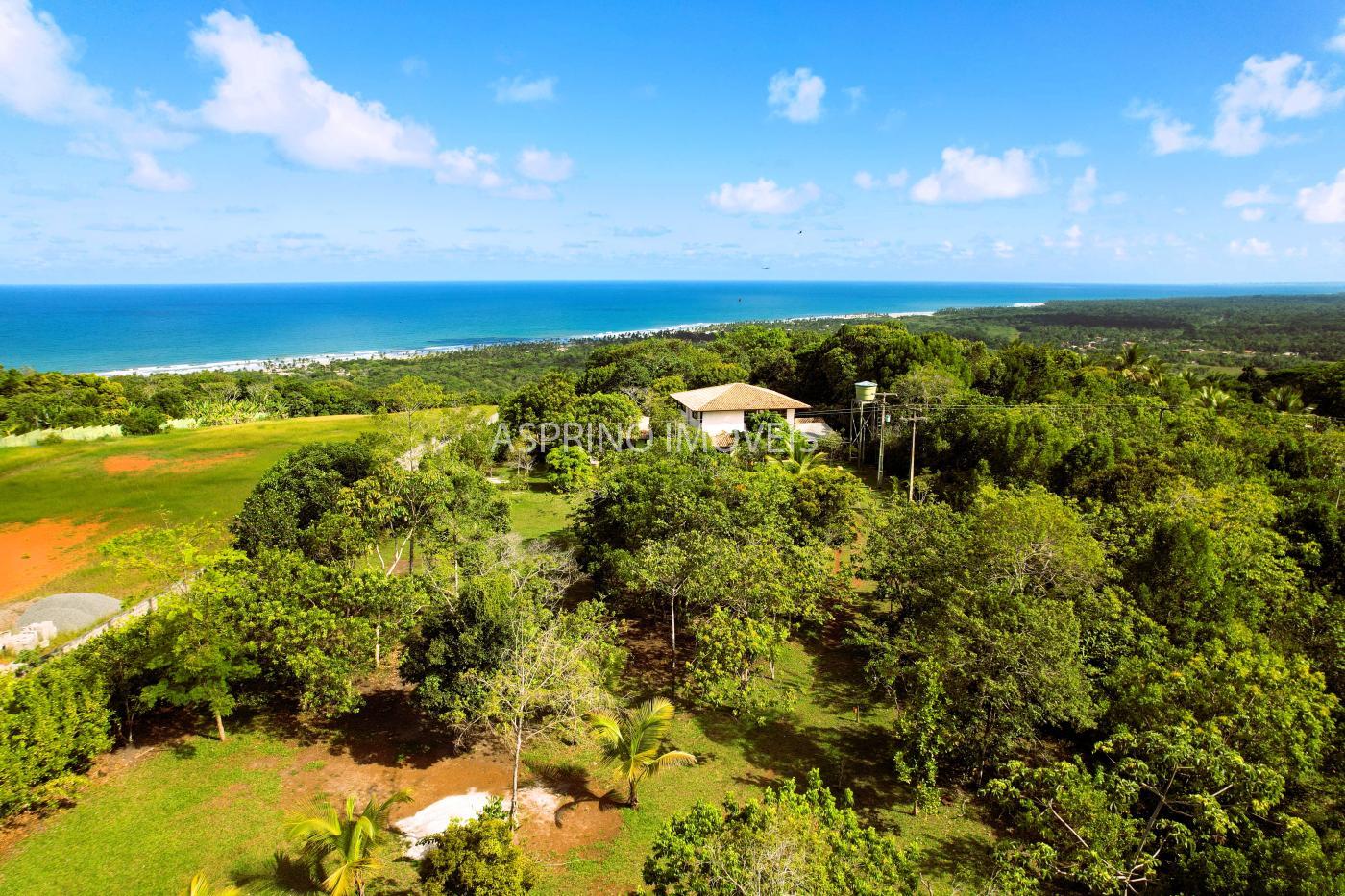 Sítio à venda com 4 quartos, 6203m² - Foto 36