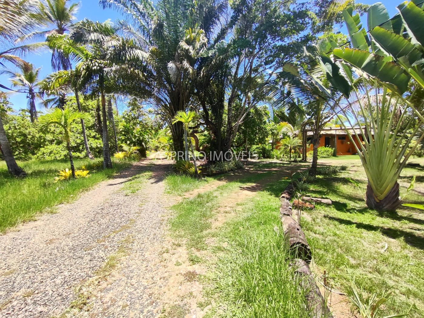 Casa à venda com 3 quartos, 3144m² - Foto 5