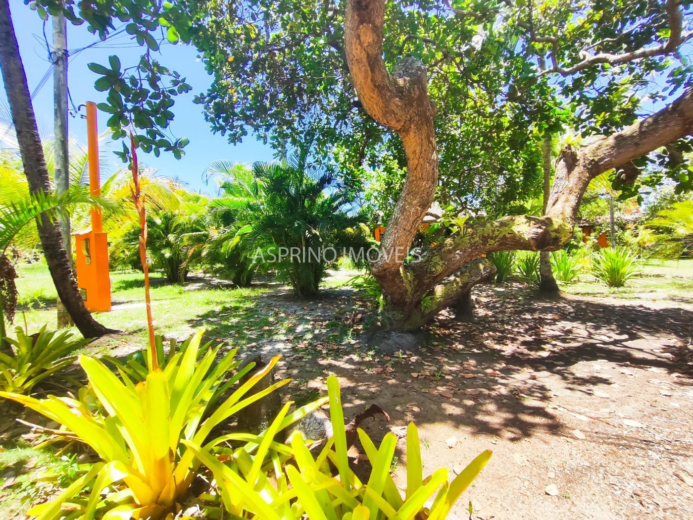 Casa à venda com 3 quartos, 3144m² - Foto 32