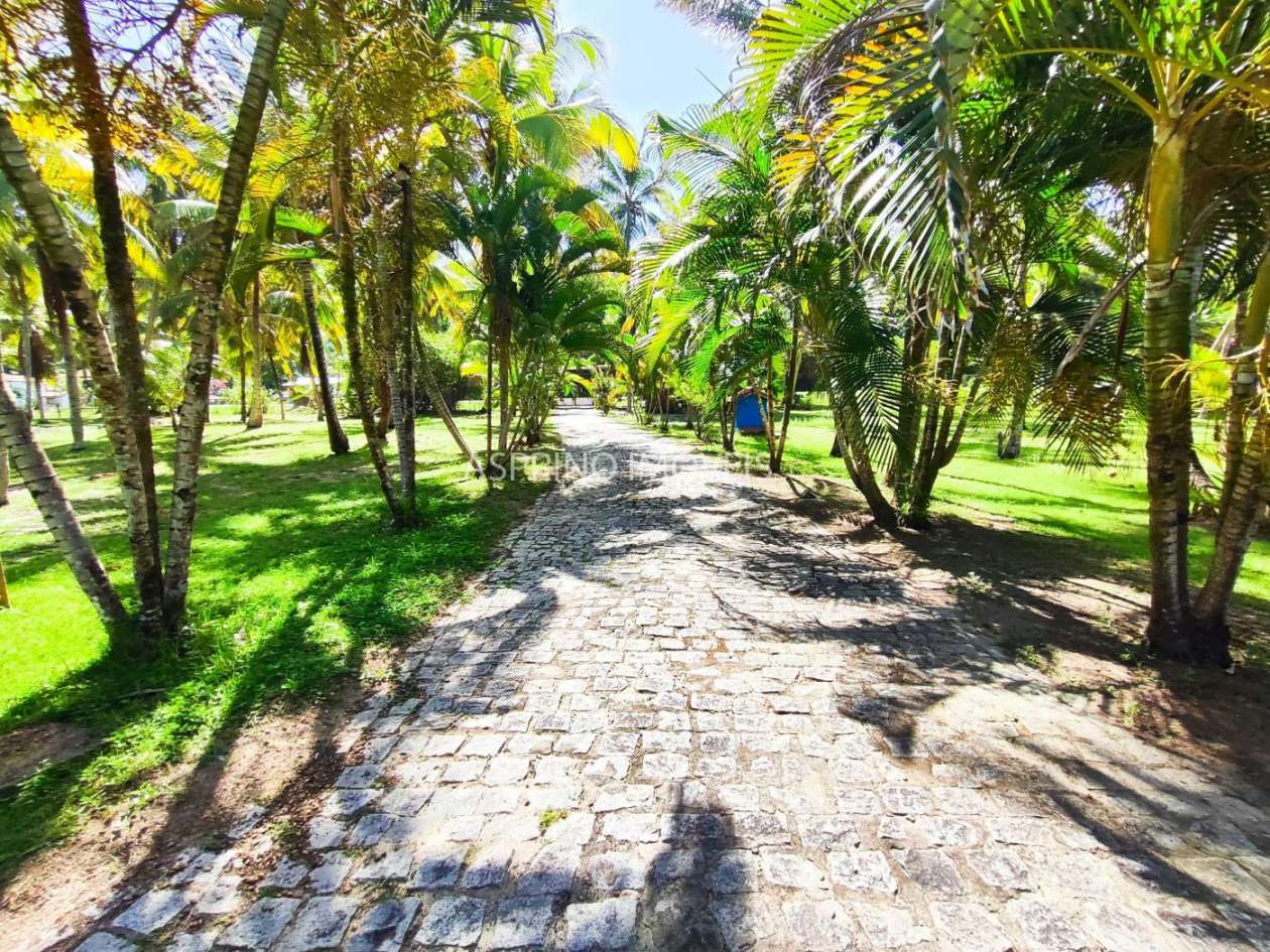 Casa, 3 quartos, 8000 m² - Foto 37