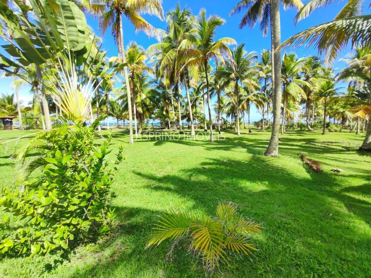 Casa, 3 quartos, 8000 m² - Foto 35