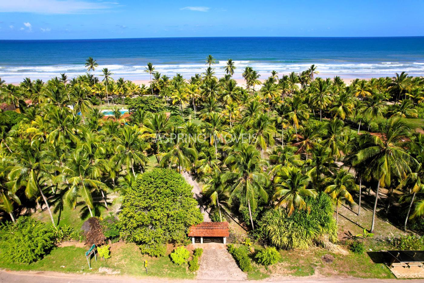 Casa, 3 quartos, 8000 m² - Foto 3