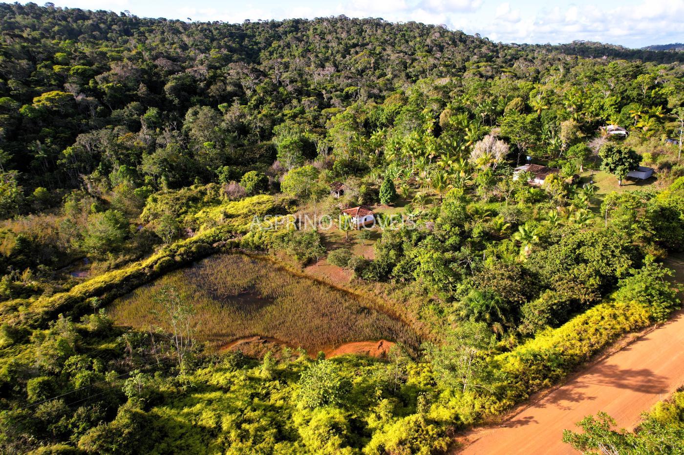 Sítio à venda, 40000m² - Foto 5