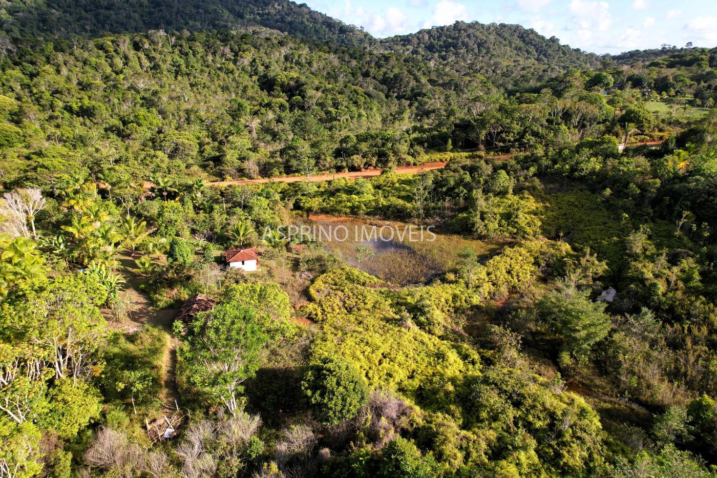 Sítio à venda, 40000m² - Foto 21