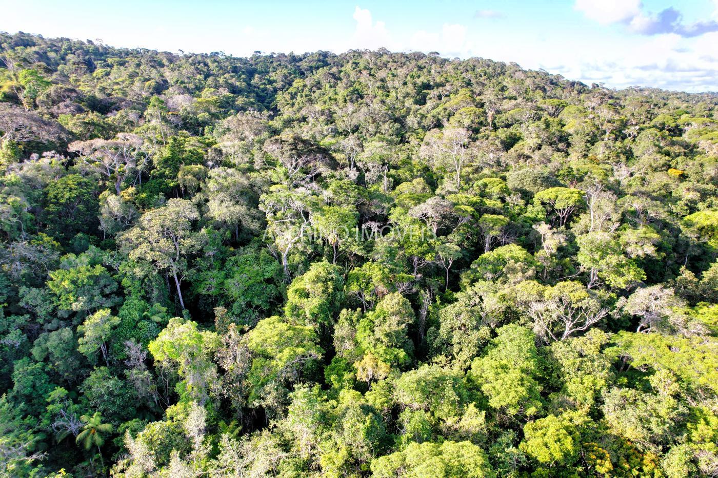 Sítio à venda, 40000m² - Foto 27