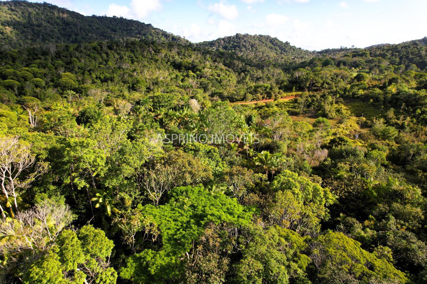 Sítio à venda, 40000m² - Foto 28