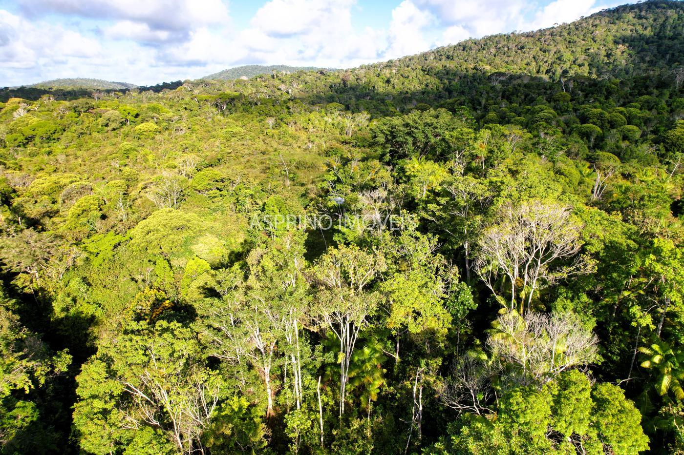 Sítio à venda, 40000m² - Foto 25