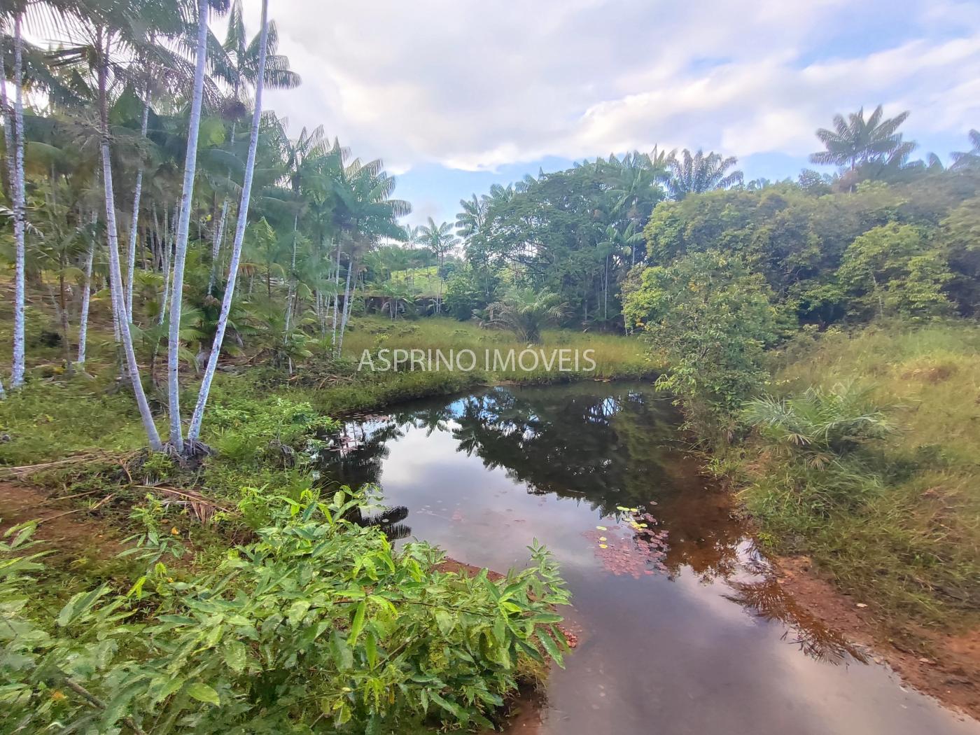 Fazenda, 145 hectares - Foto 13