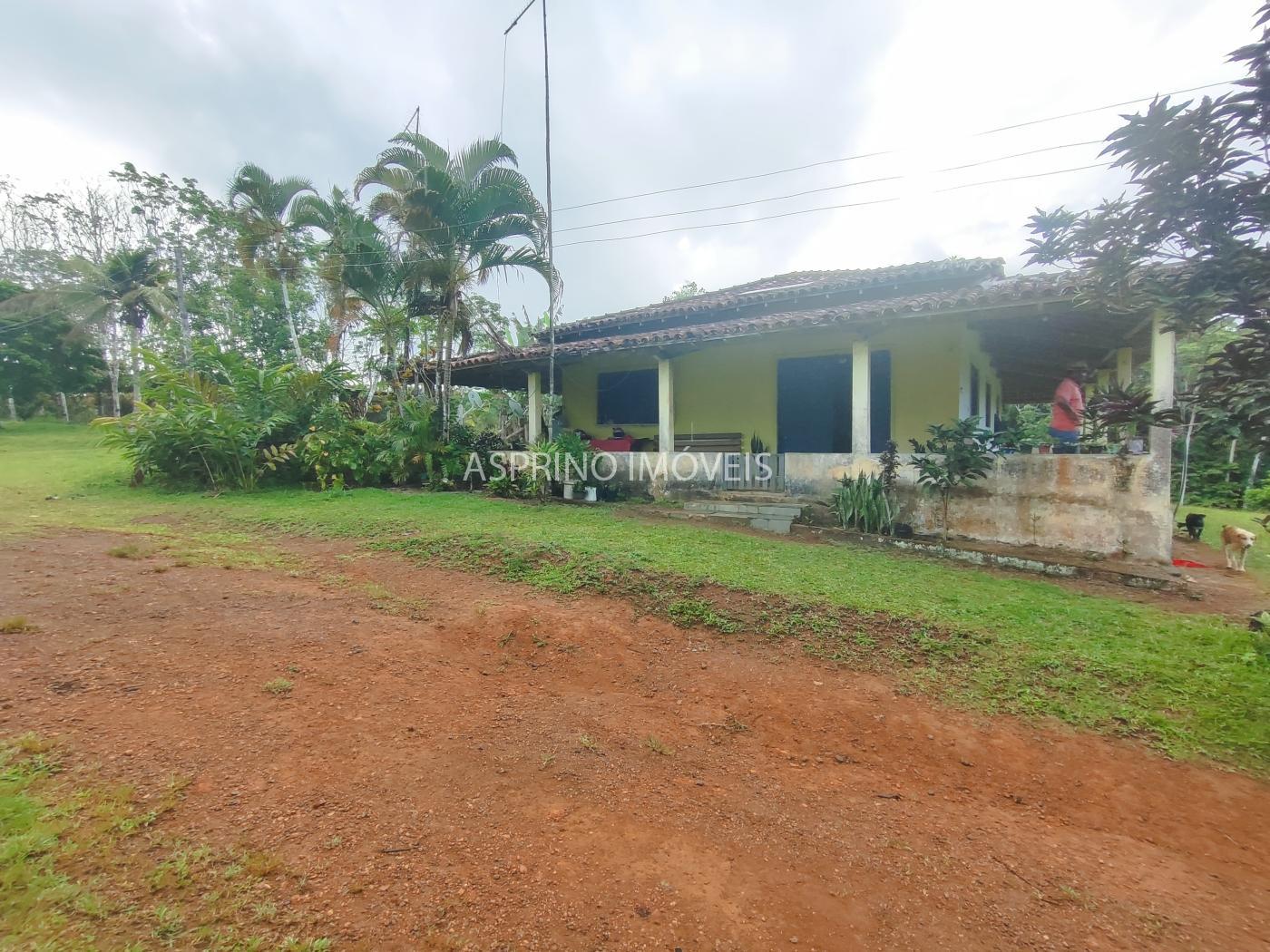 Fazenda, 145 hectares - Foto 6