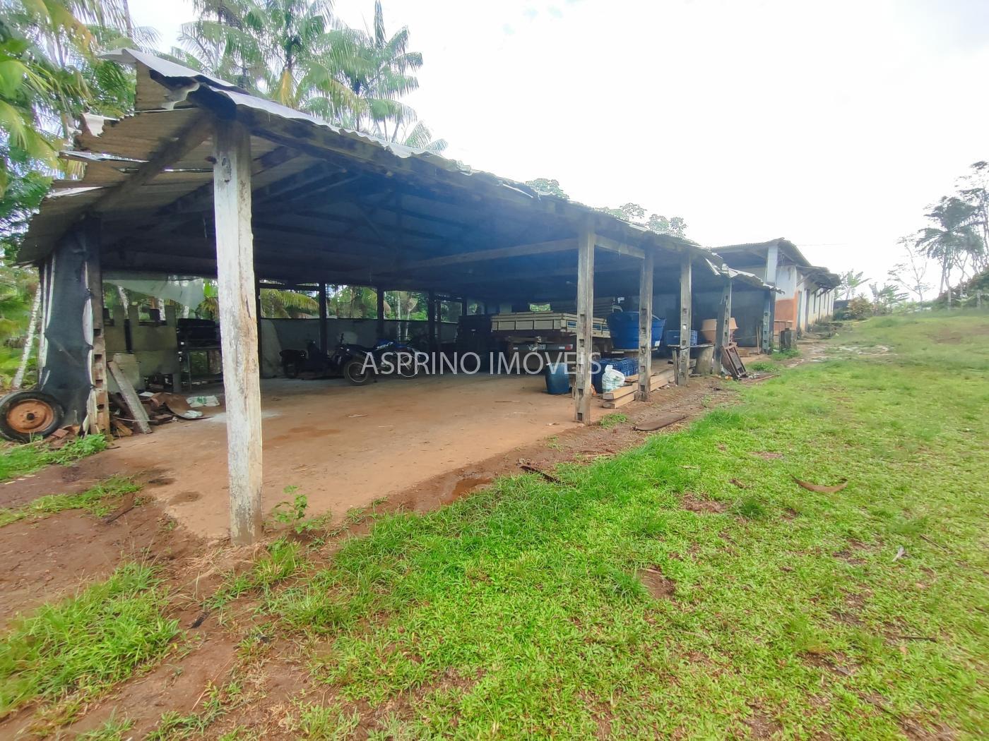 Fazenda, 145 hectares - Foto 7