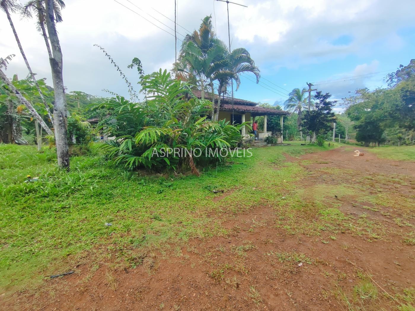 Fazenda, 145 hectares - Foto 5