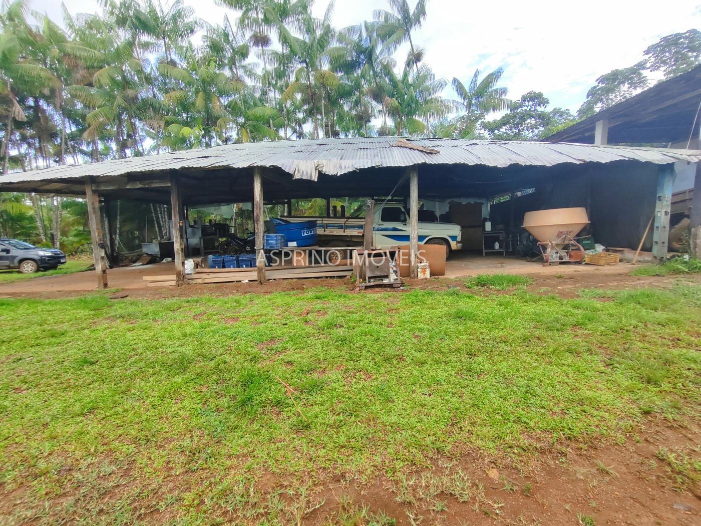 Fazenda, 145 hectares - Foto 9