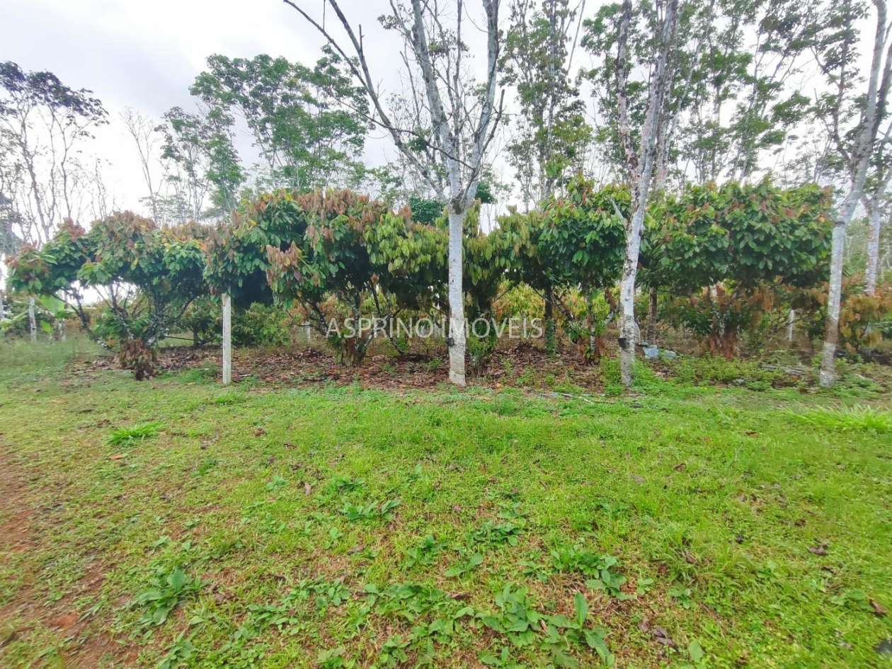 Fazenda, 145 hectares - Foto 10