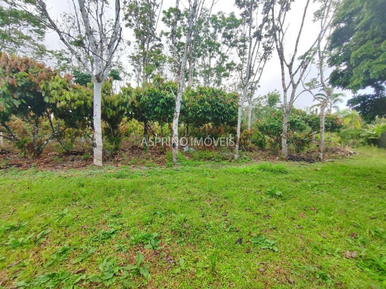 Fazenda, 145 hectares - Foto 11