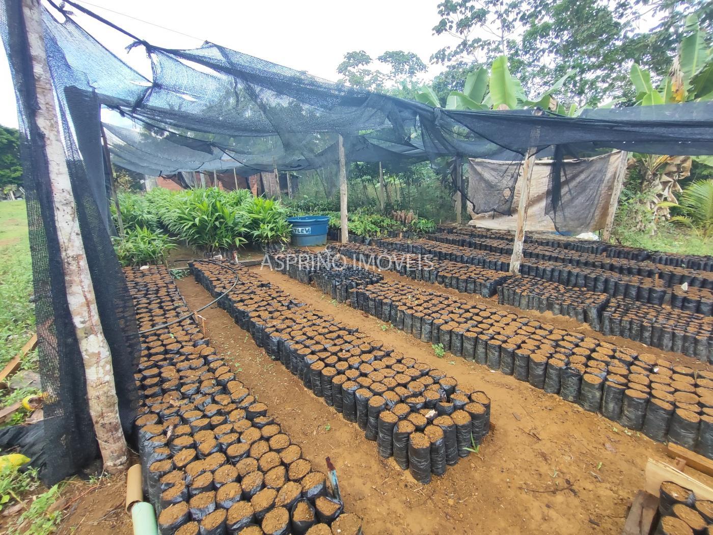 Fazenda, 145 hectares - Foto 14