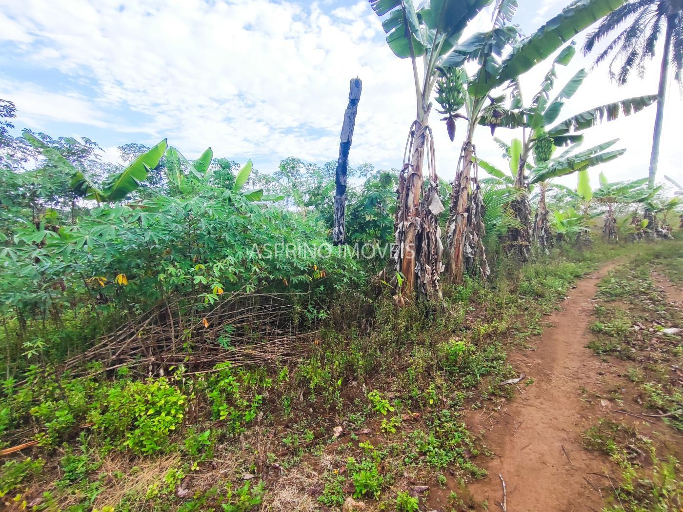 Fazenda, 145 hectares - Foto 16
