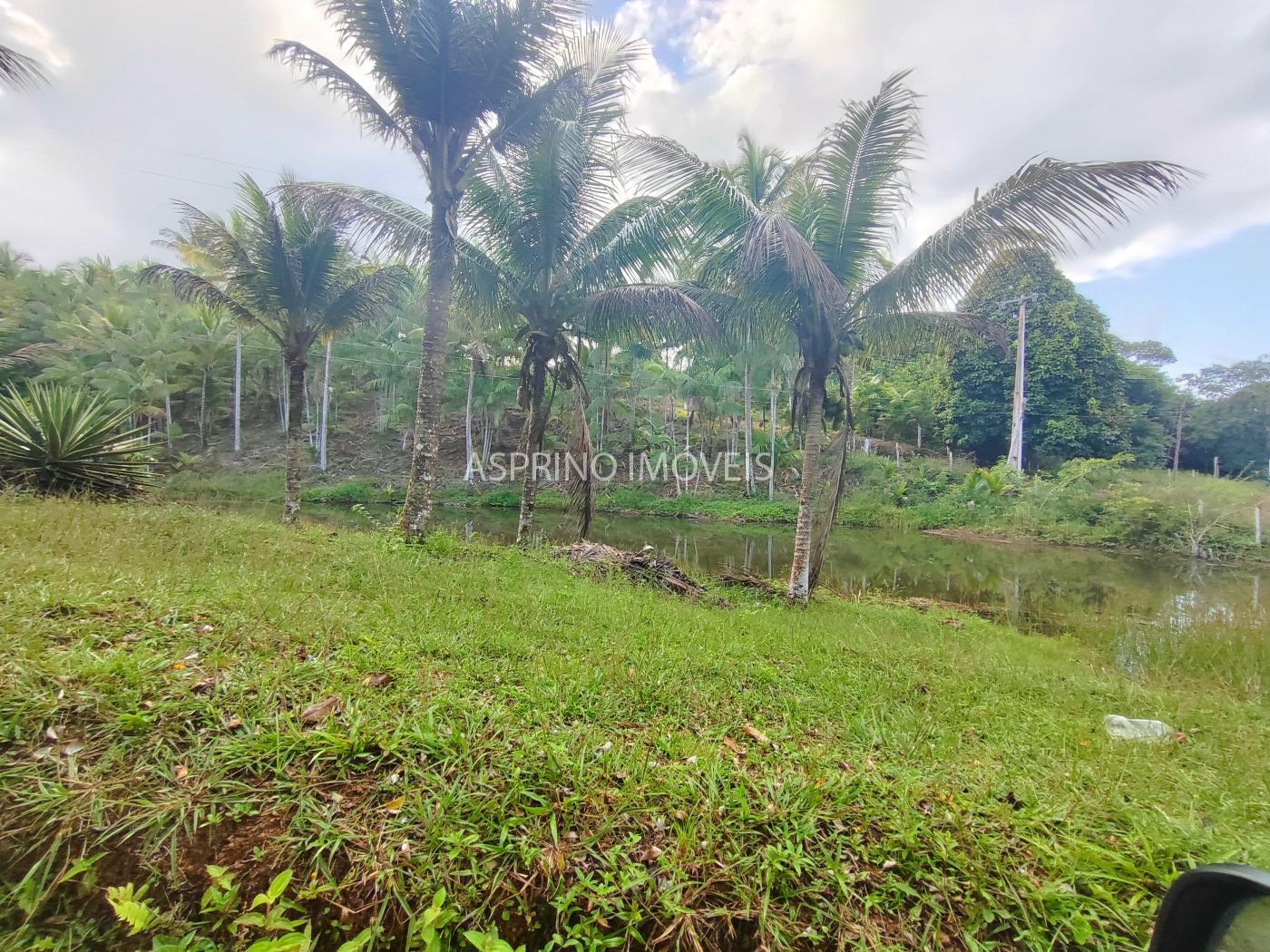 Fazenda, 145 hectares - Foto 20