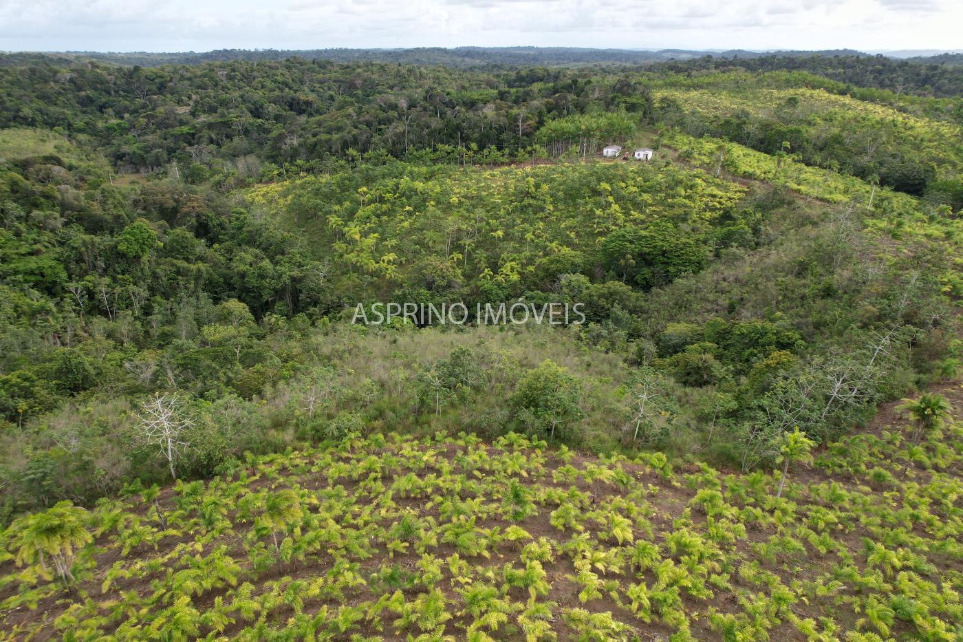 Fazenda, 145 hectares - Foto 21