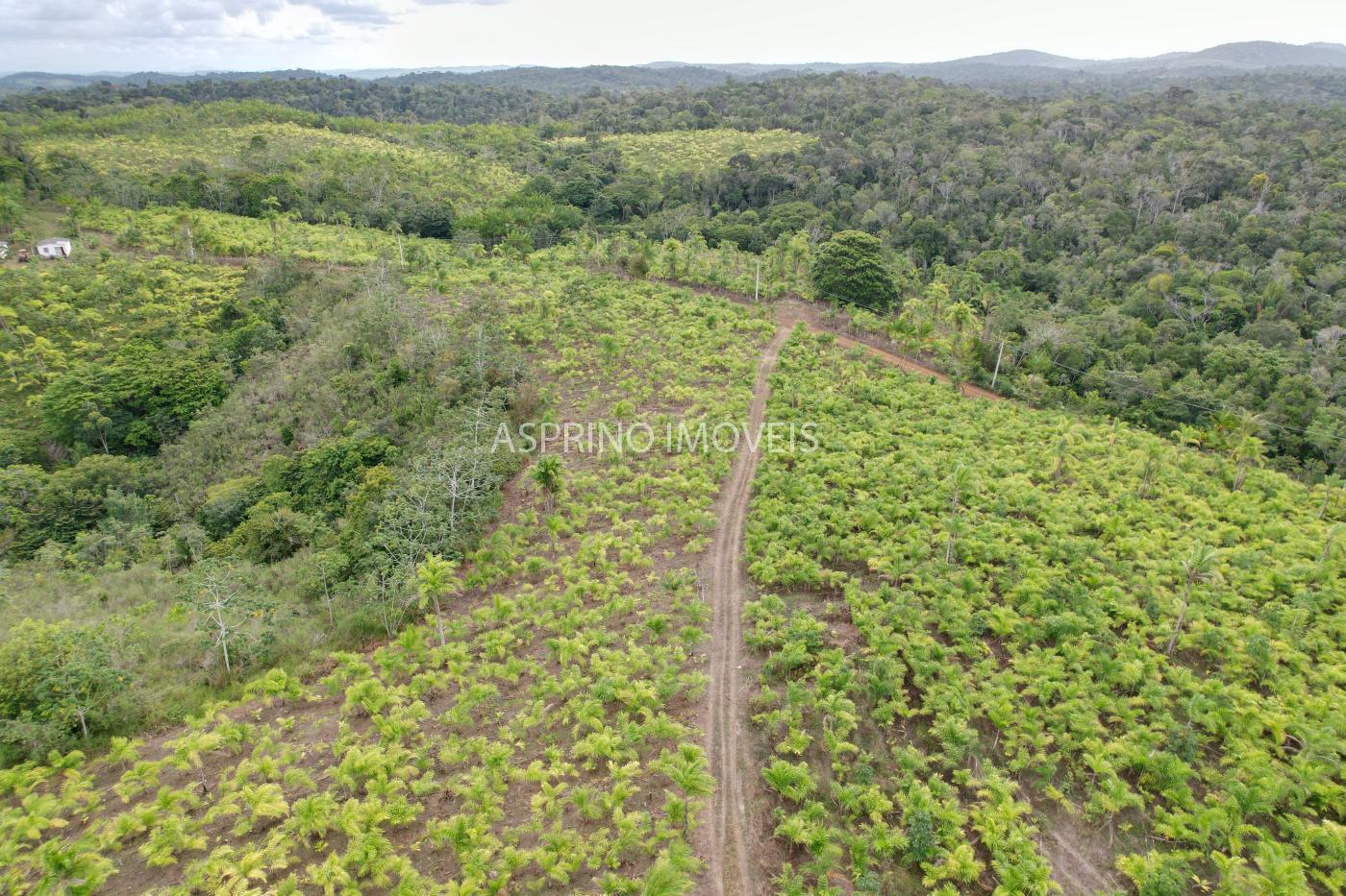 Fazenda, 145 hectares - Foto 22