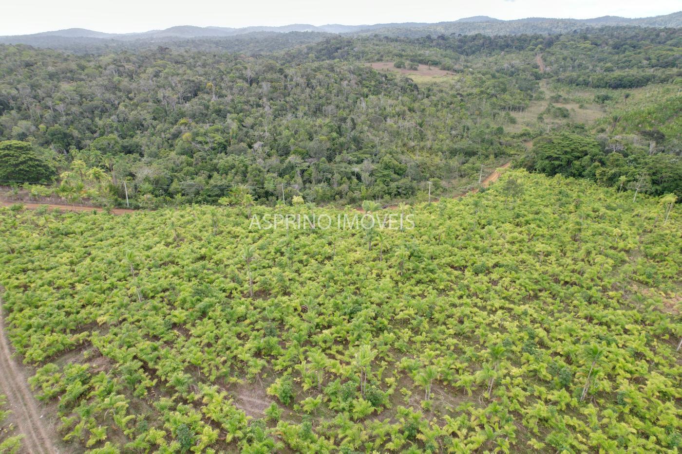 Fazenda, 145 hectares - Foto 23