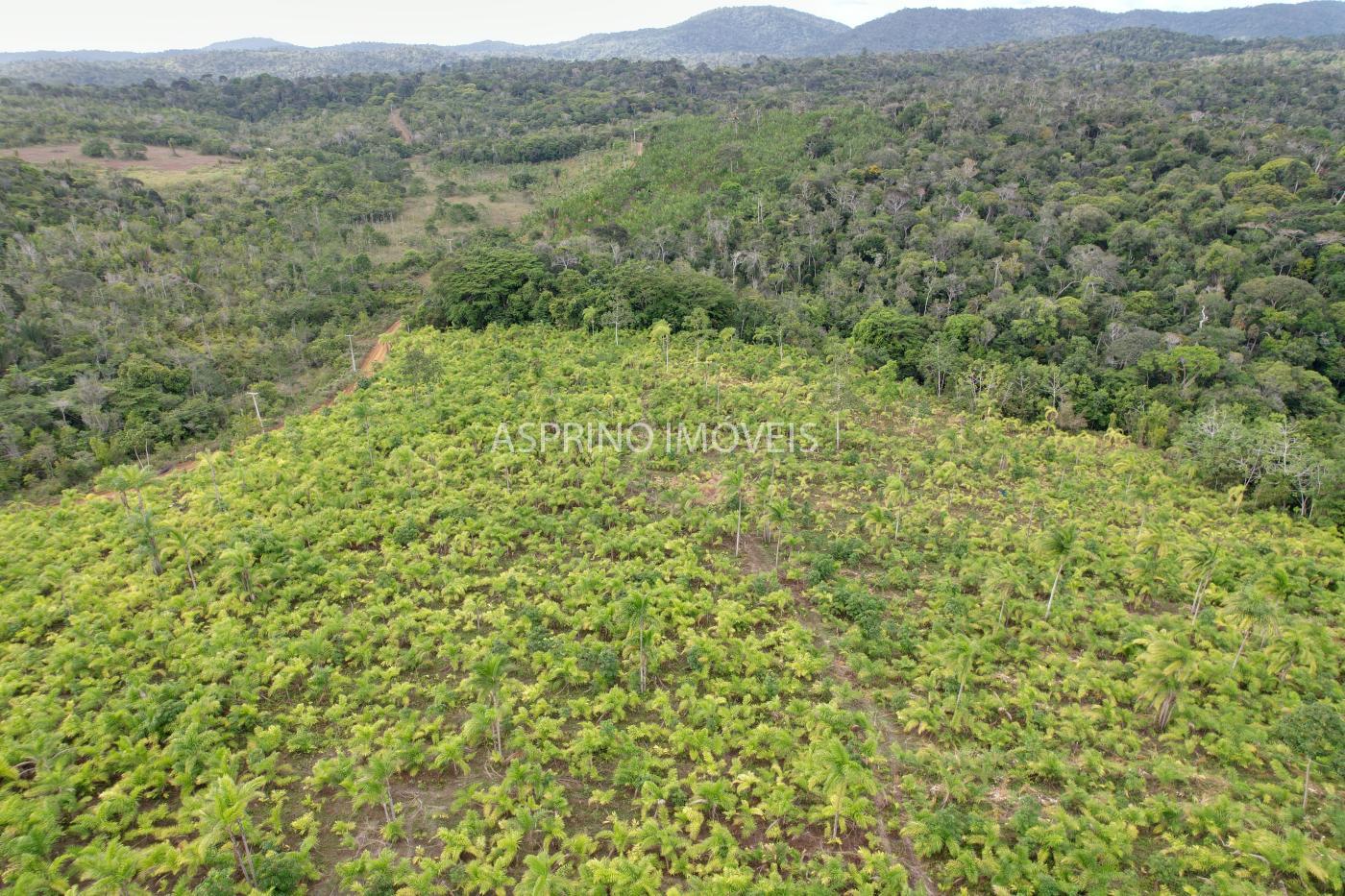 Fazenda, 145 hectares - Foto 24