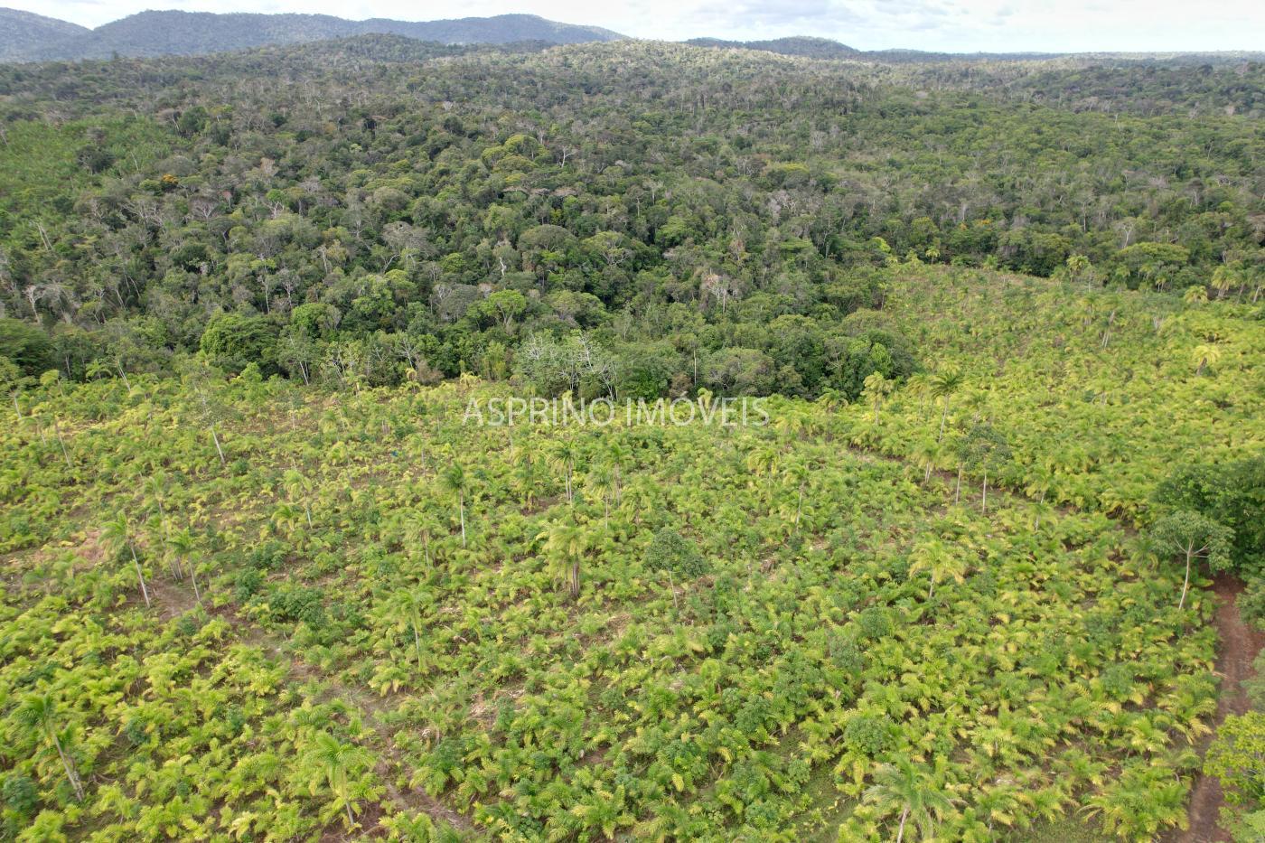 Fazenda, 145 hectares - Foto 25