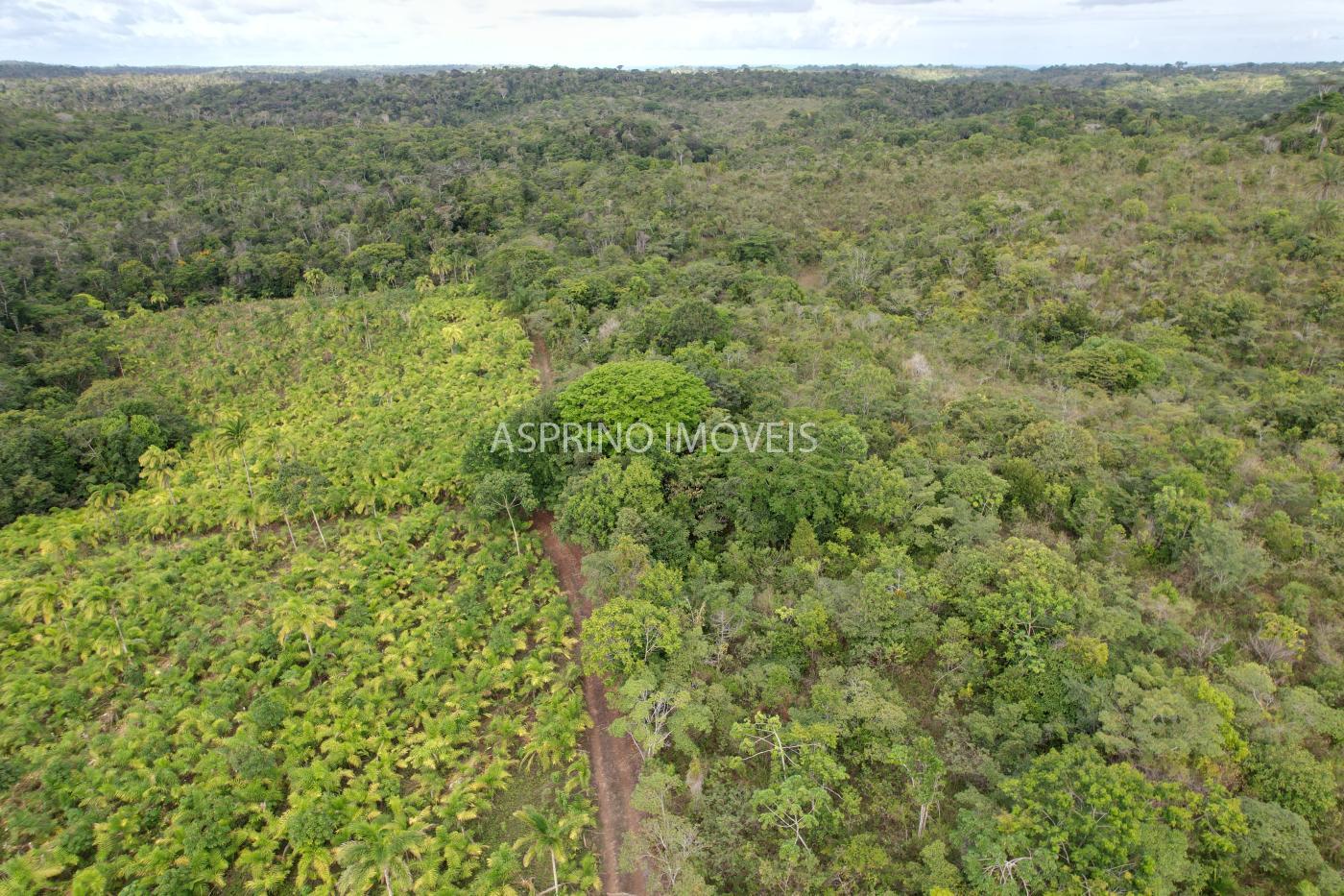 Fazenda, 145 hectares - Foto 26